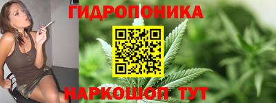 стафф Можга
