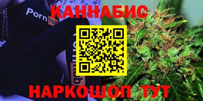 стафф Можга